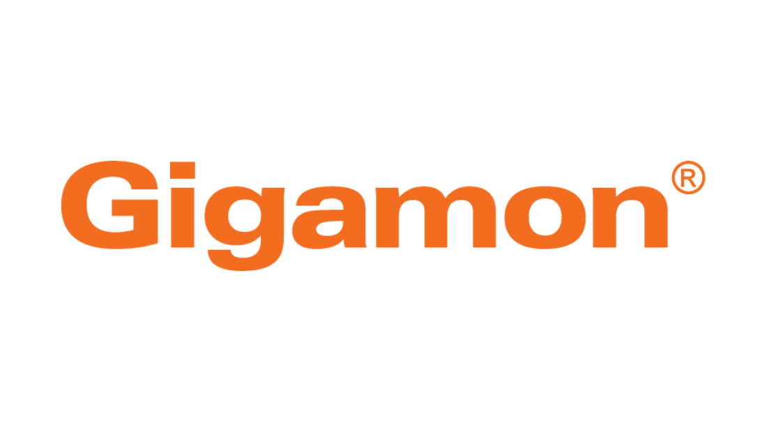 ccds-partner-gigamon