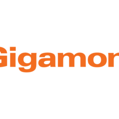 ccds-partner-gigamon
