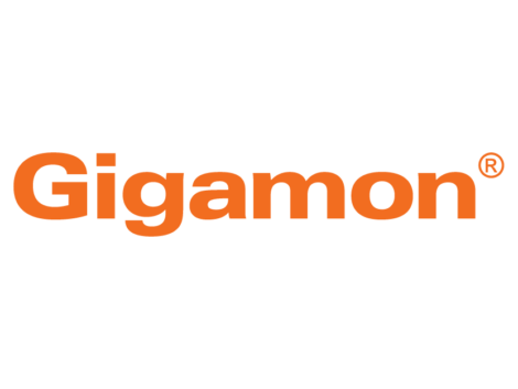 ccds-partner-gigamon